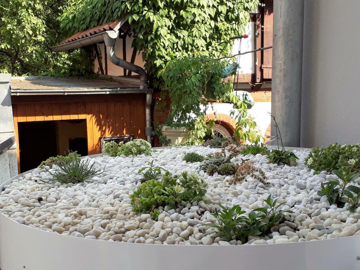 Apartment Zeitreise Quedlinburg Εξωτερικό φωτογραφία